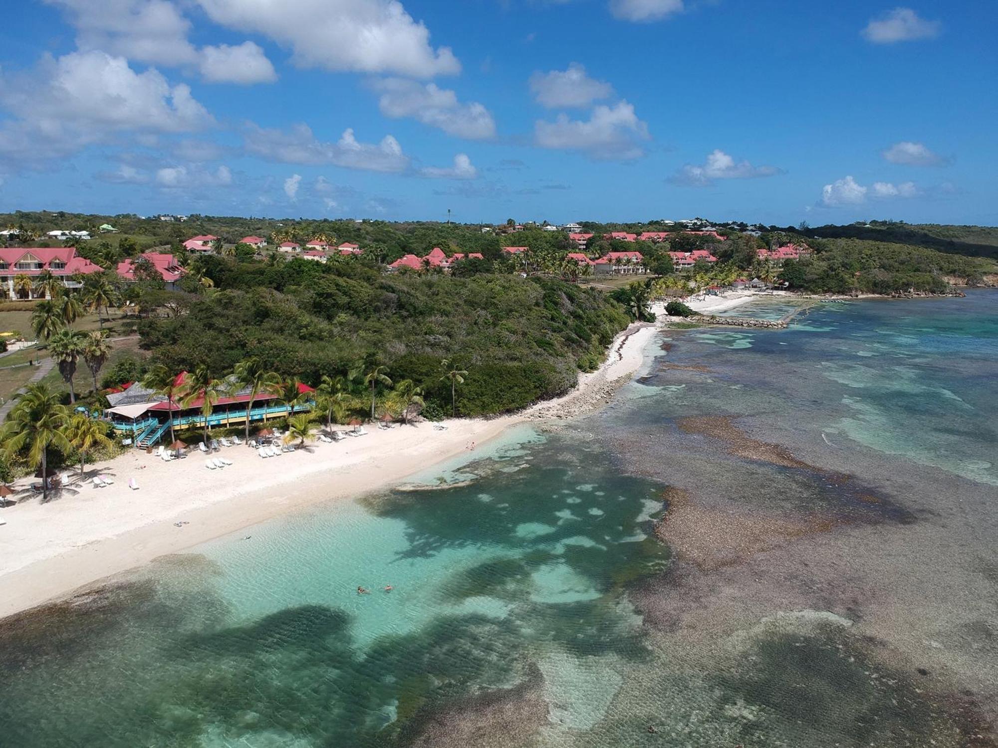 Studio Olia A P&V - Plages, Piscines Et Vue Mer! Sainte-Anne  Exteriör bild
